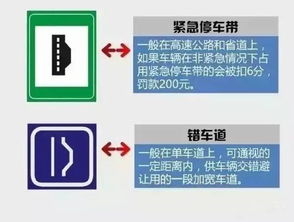 教你练就火眼金睛 孪生交通标志标线一眼分得清